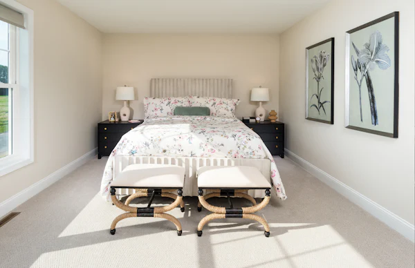 Gallery Photo 15