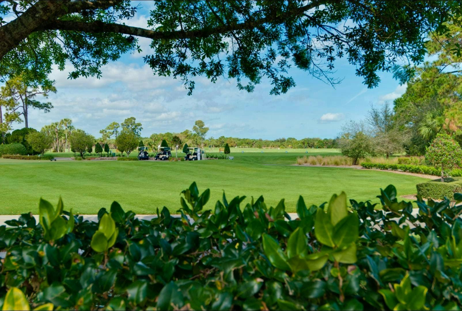 Golf Course & Carts | Bent Pine Preserve