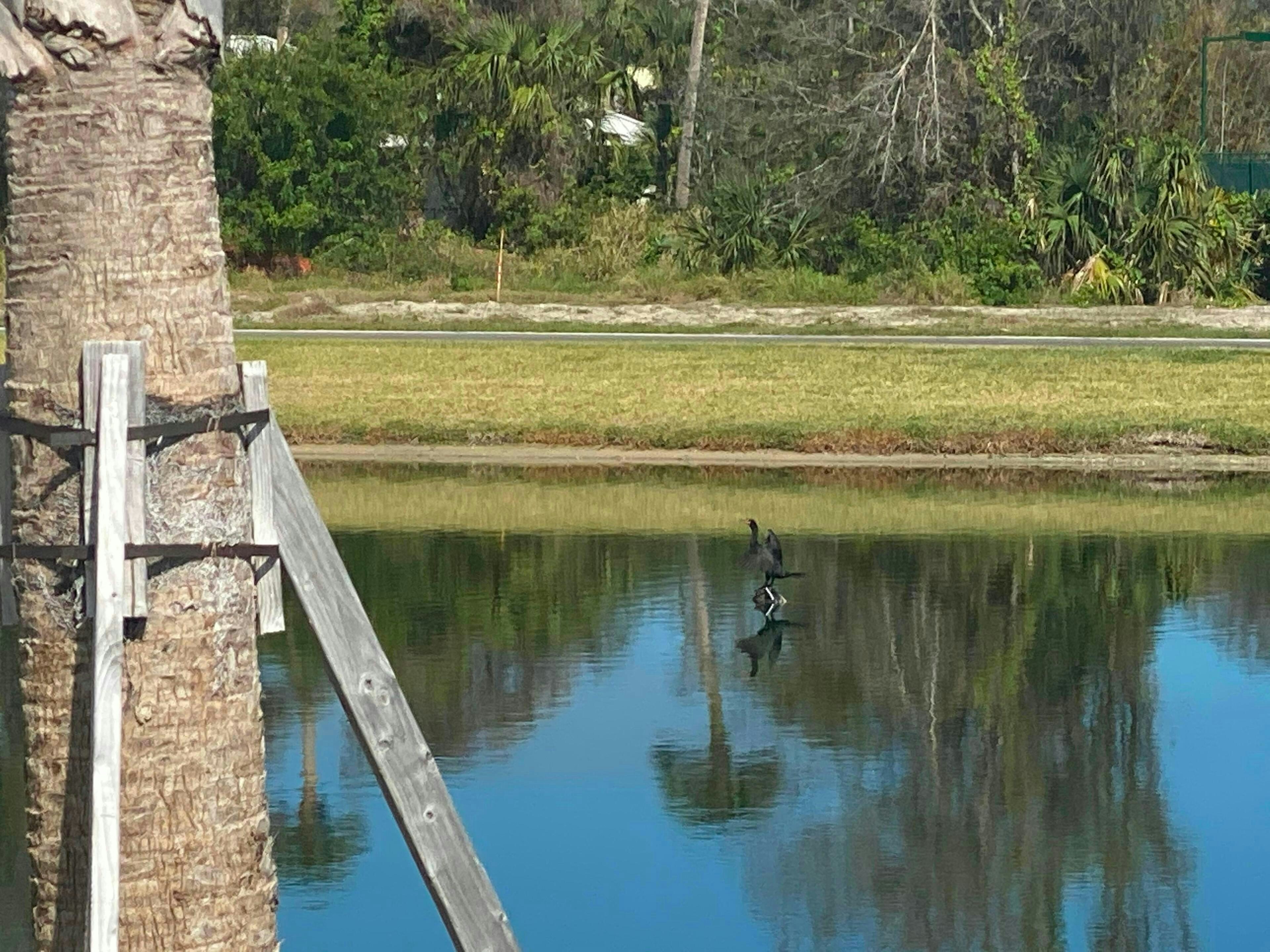 Community Lakes | The Strand