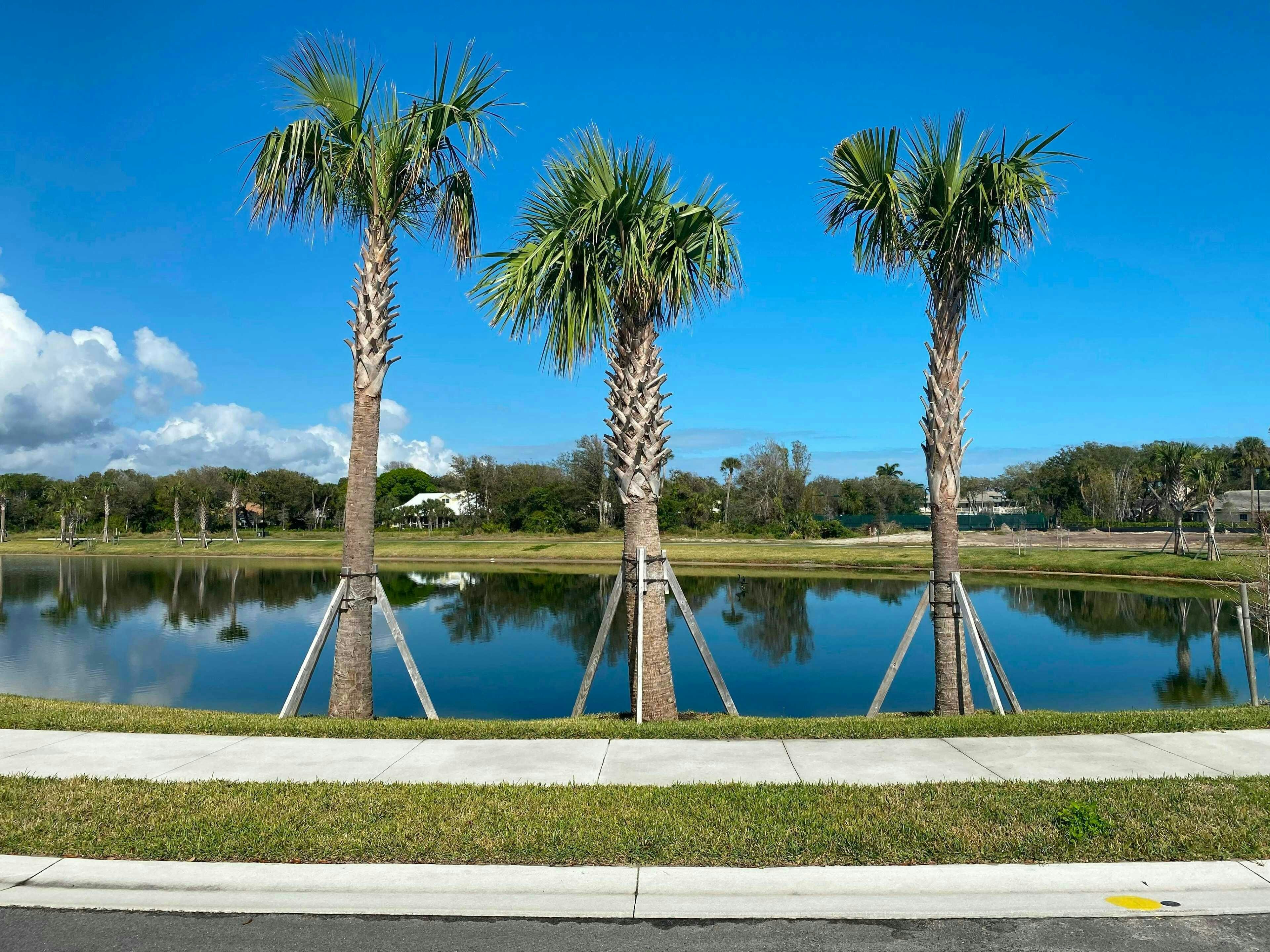 Community Lakes | The Strand