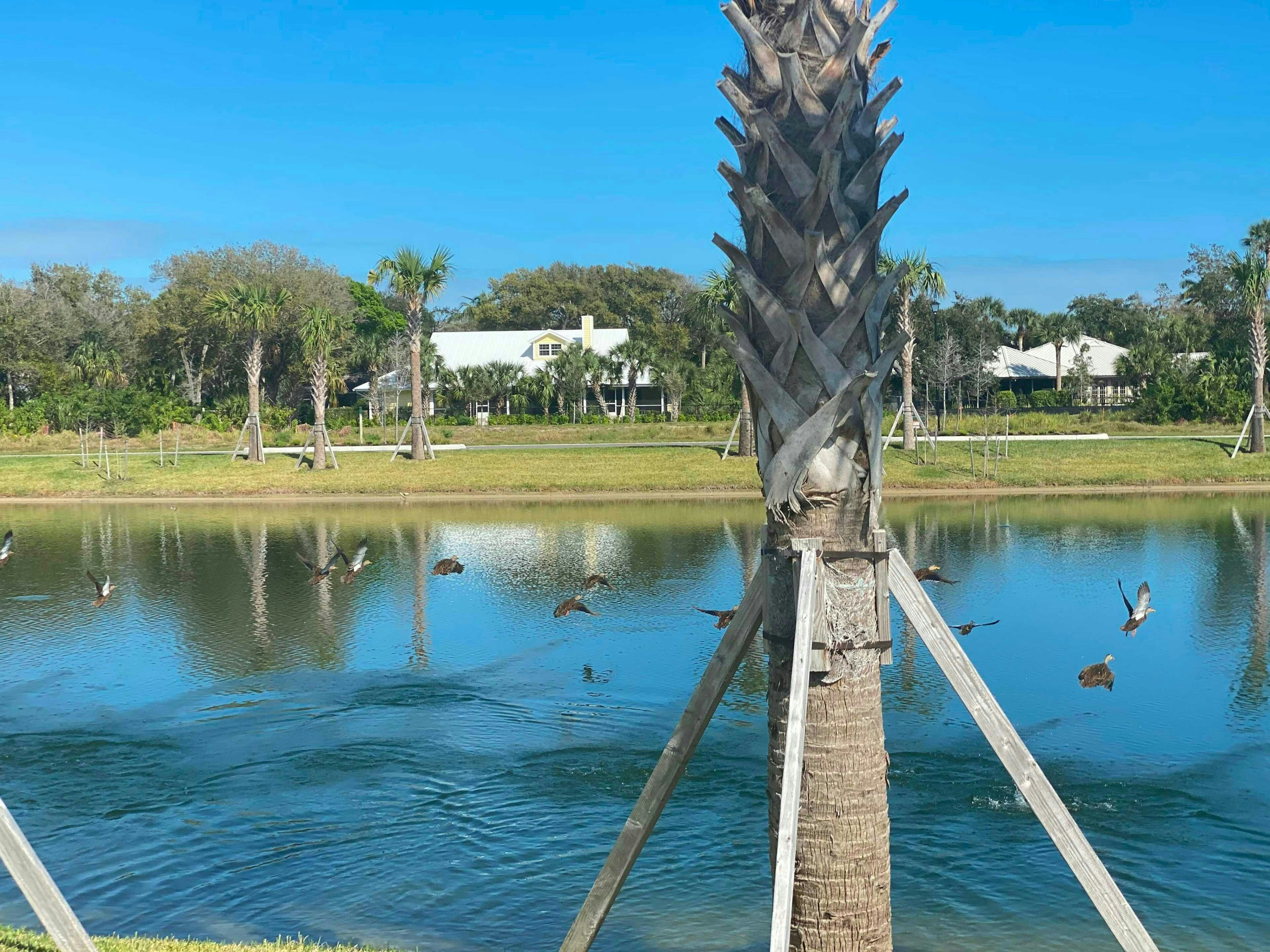 Community Lakes | The Strand