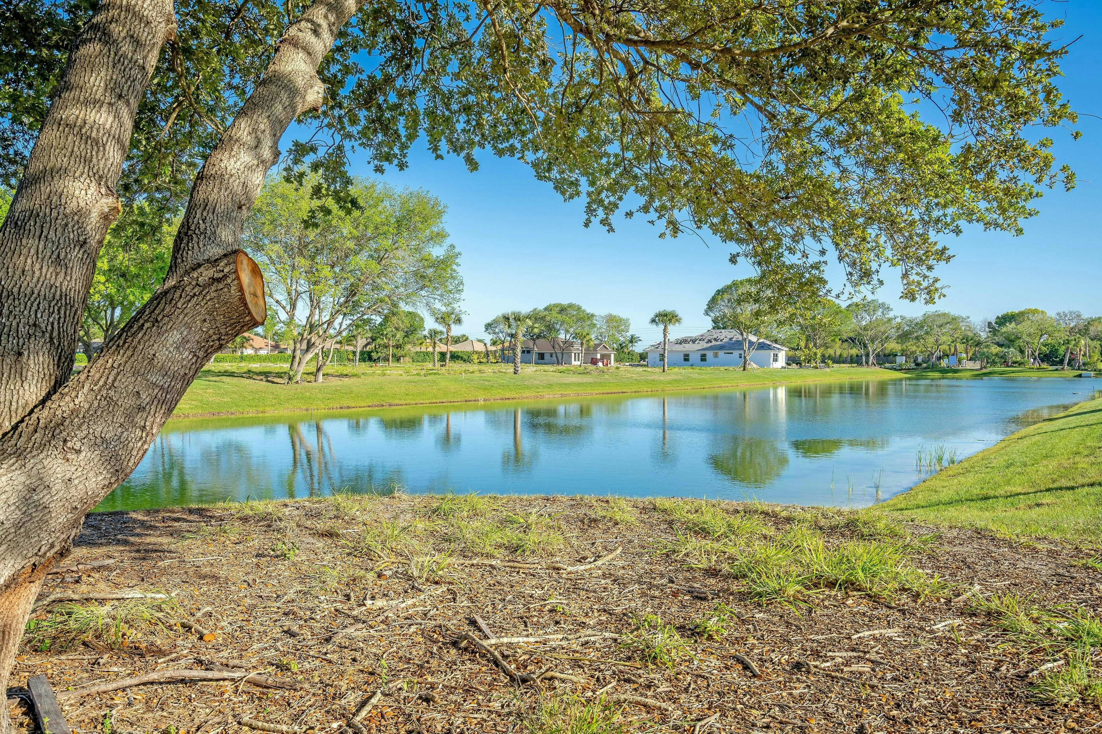 Lakes and Tall Trees | Lucaya Pointe