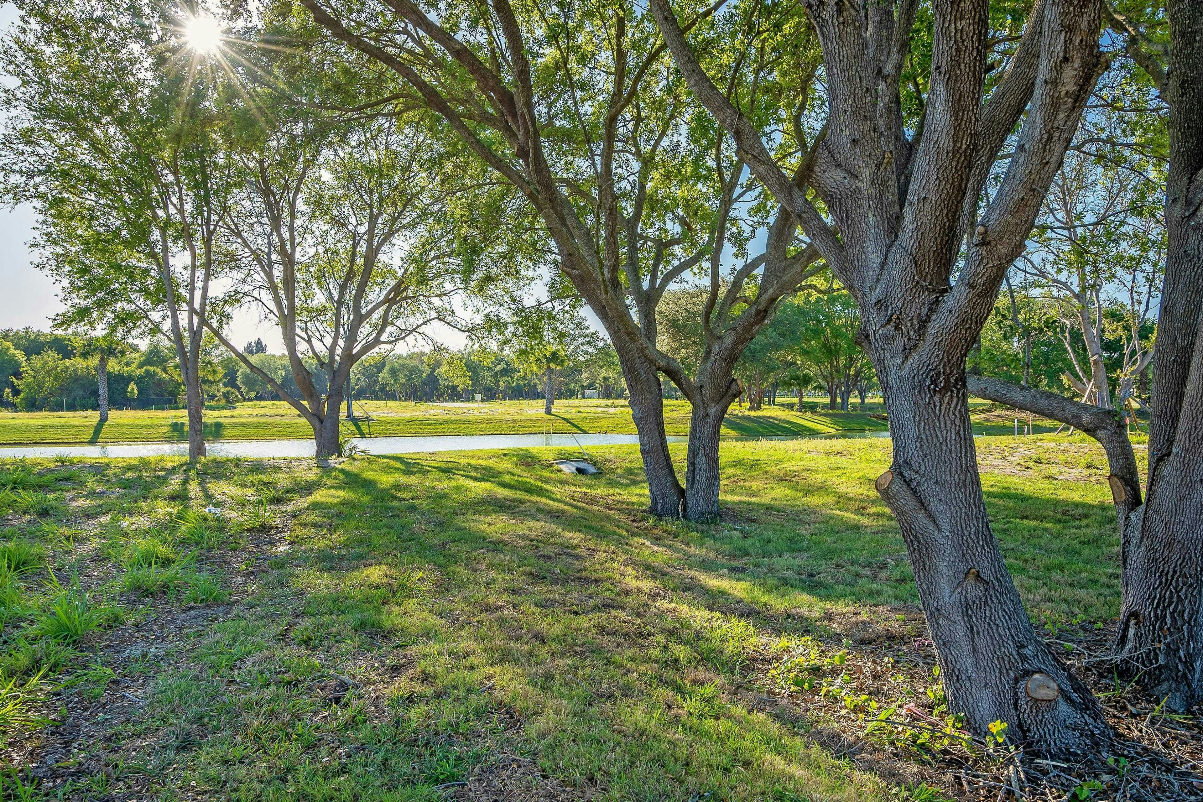 Natural Surroundings | Lucaya Pointe