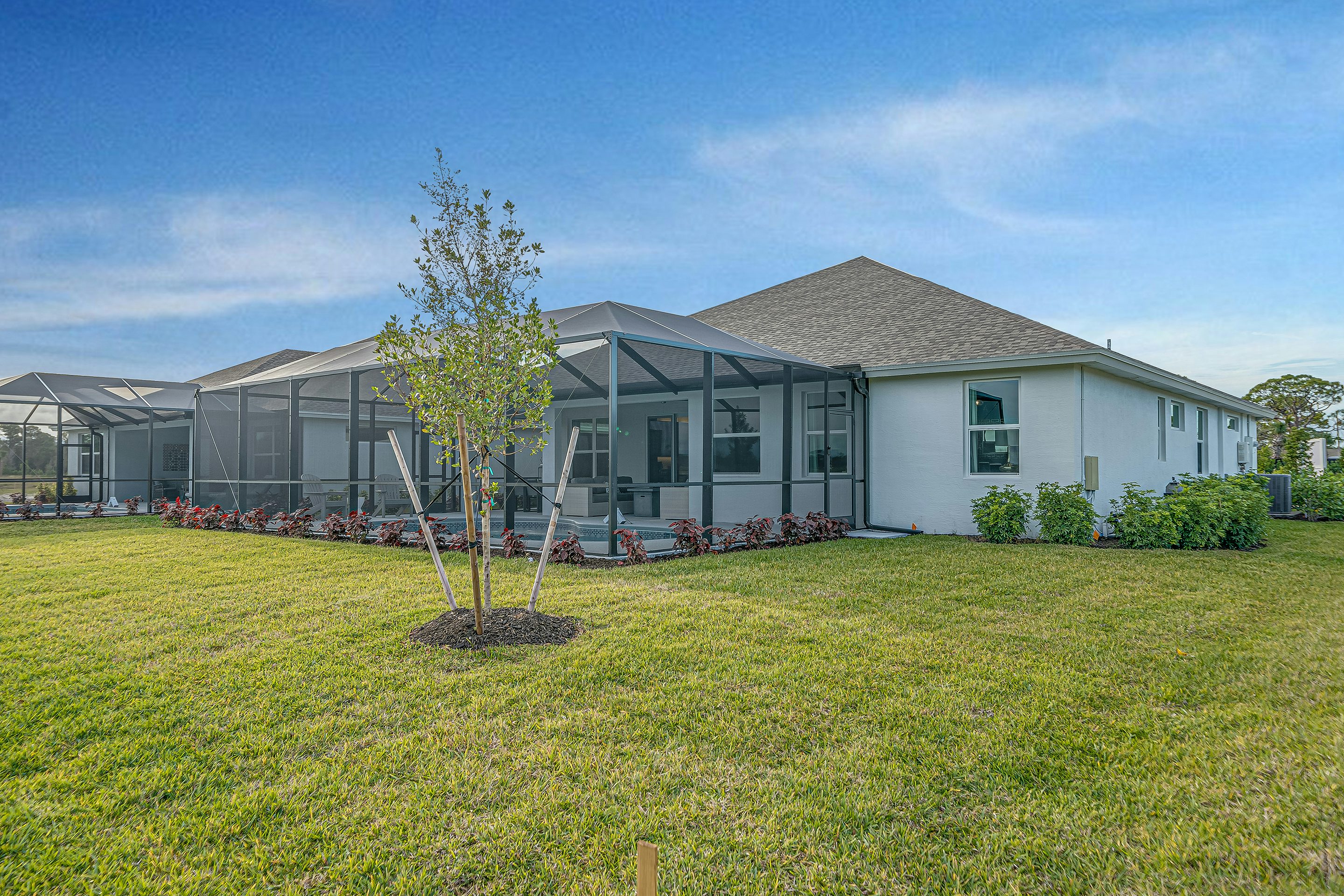 Rear Elevation | Cordella Jem