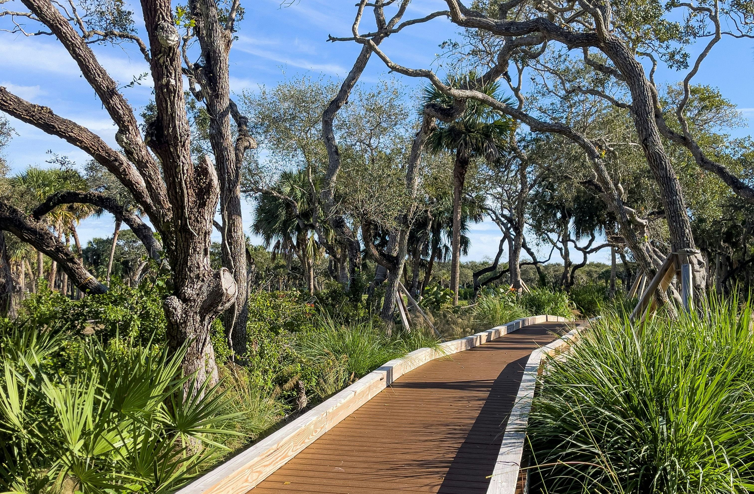 Boardwalk Nature Trail | Seaglass