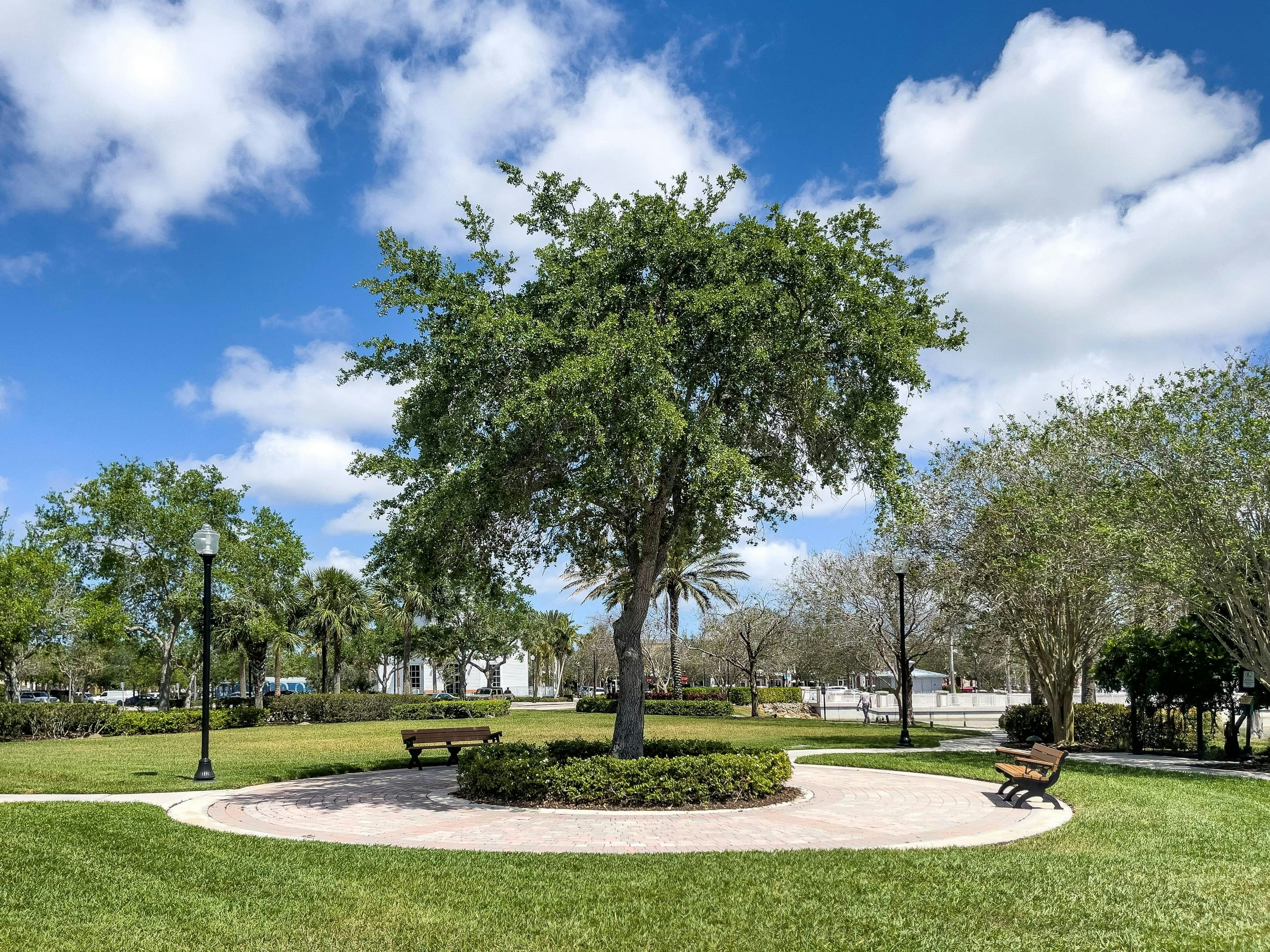 Park & Greenspace | Tradition