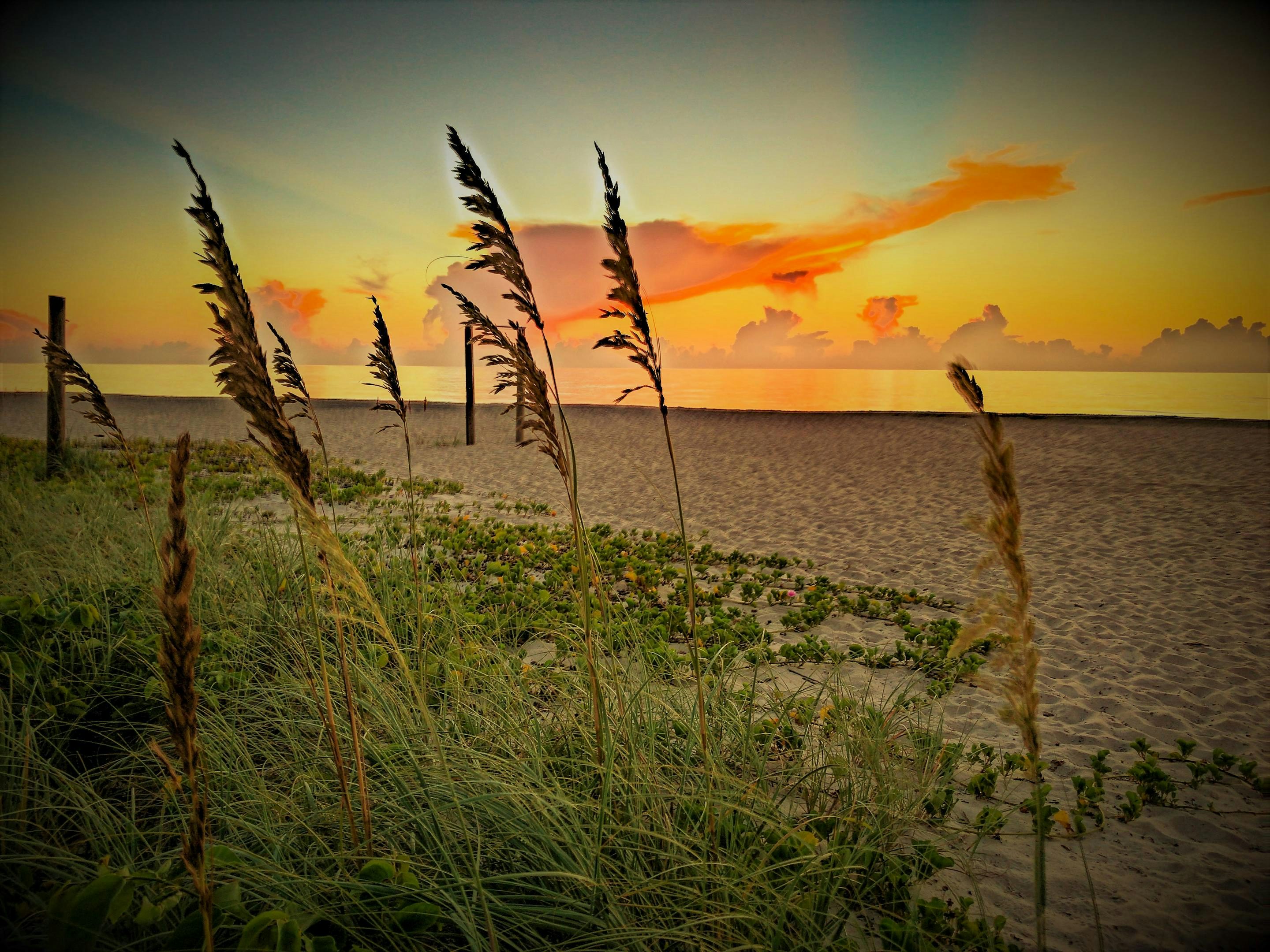 Beaches | Vero Beach
