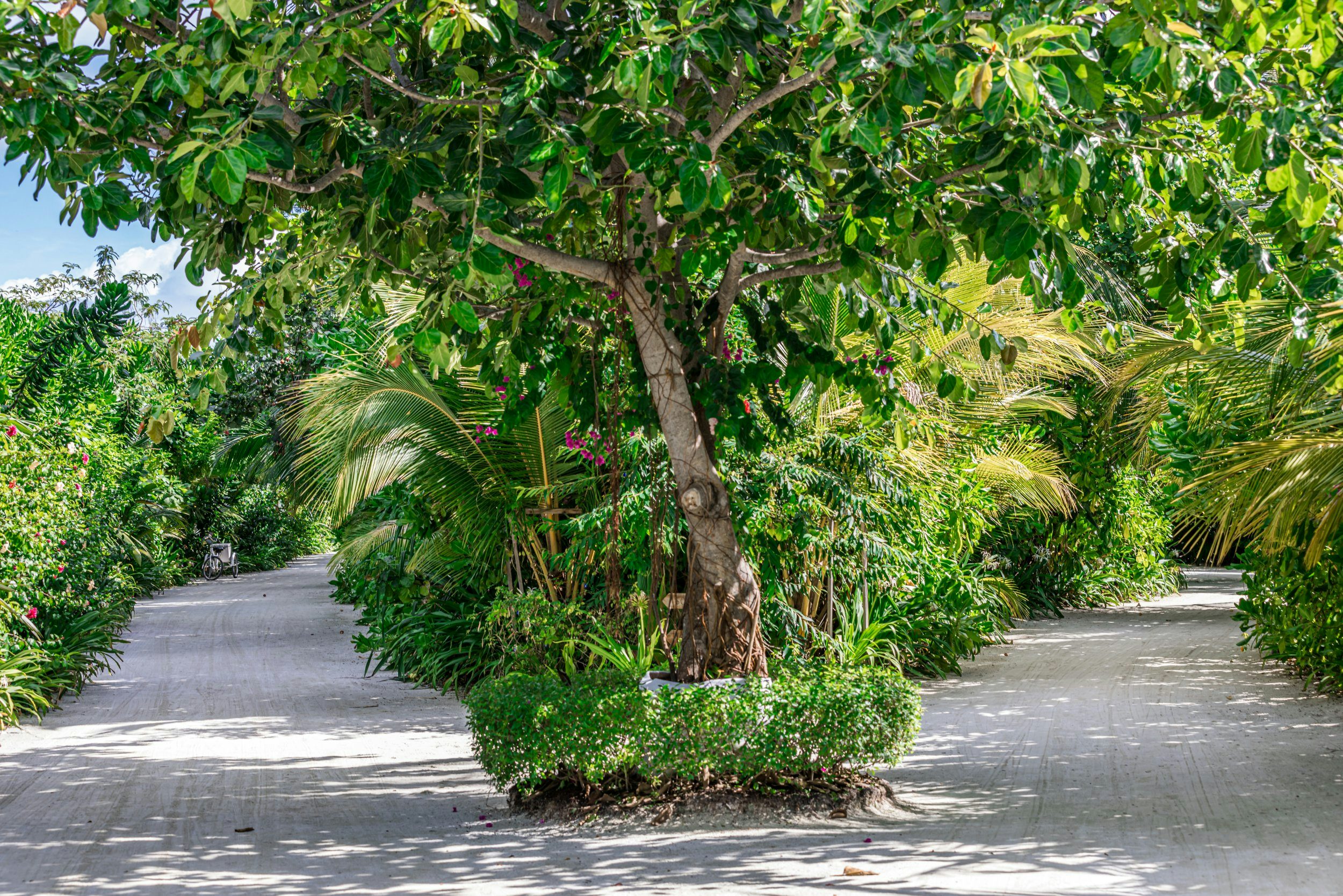 Historic Jungle Trail | Vero Beach
