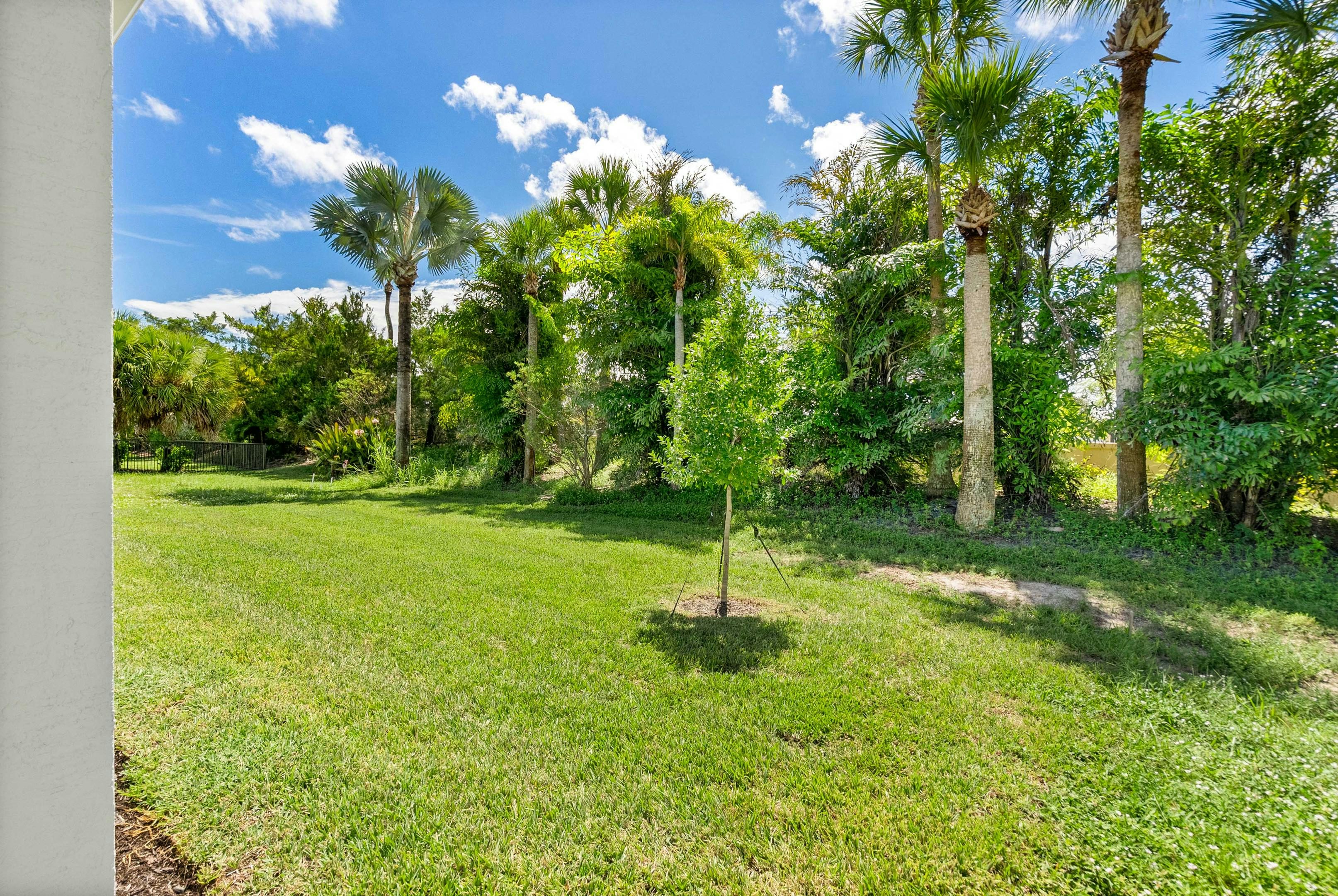 Backyard | 2147 Falls Circle