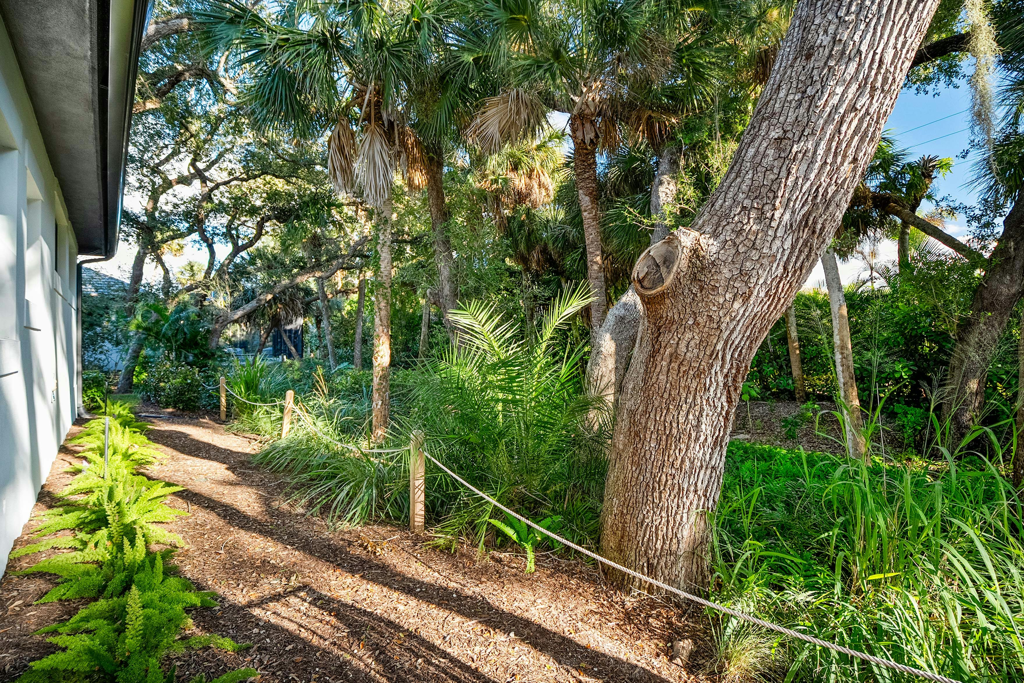 Natural Pathway | 9193 Seaglass Ct