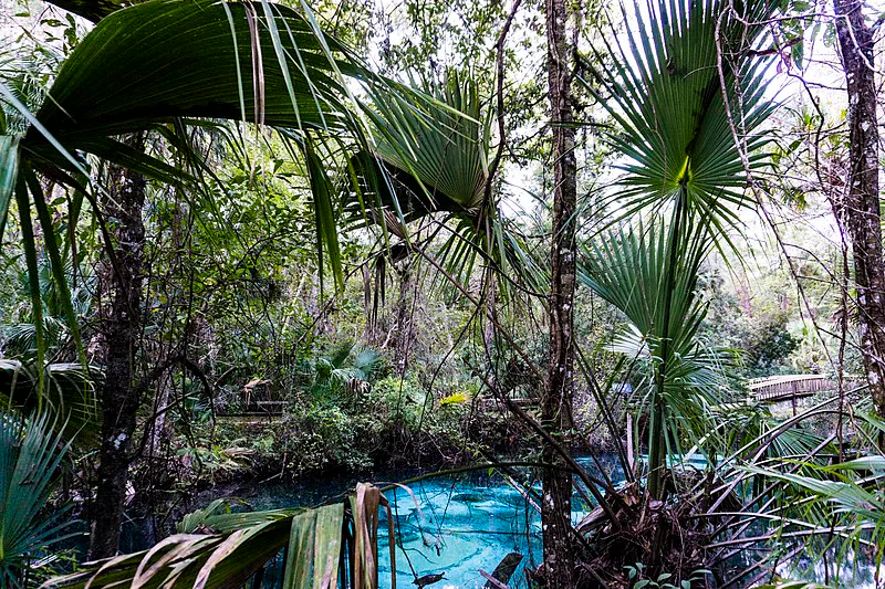 Juniper Springs in the Ocala National Forest