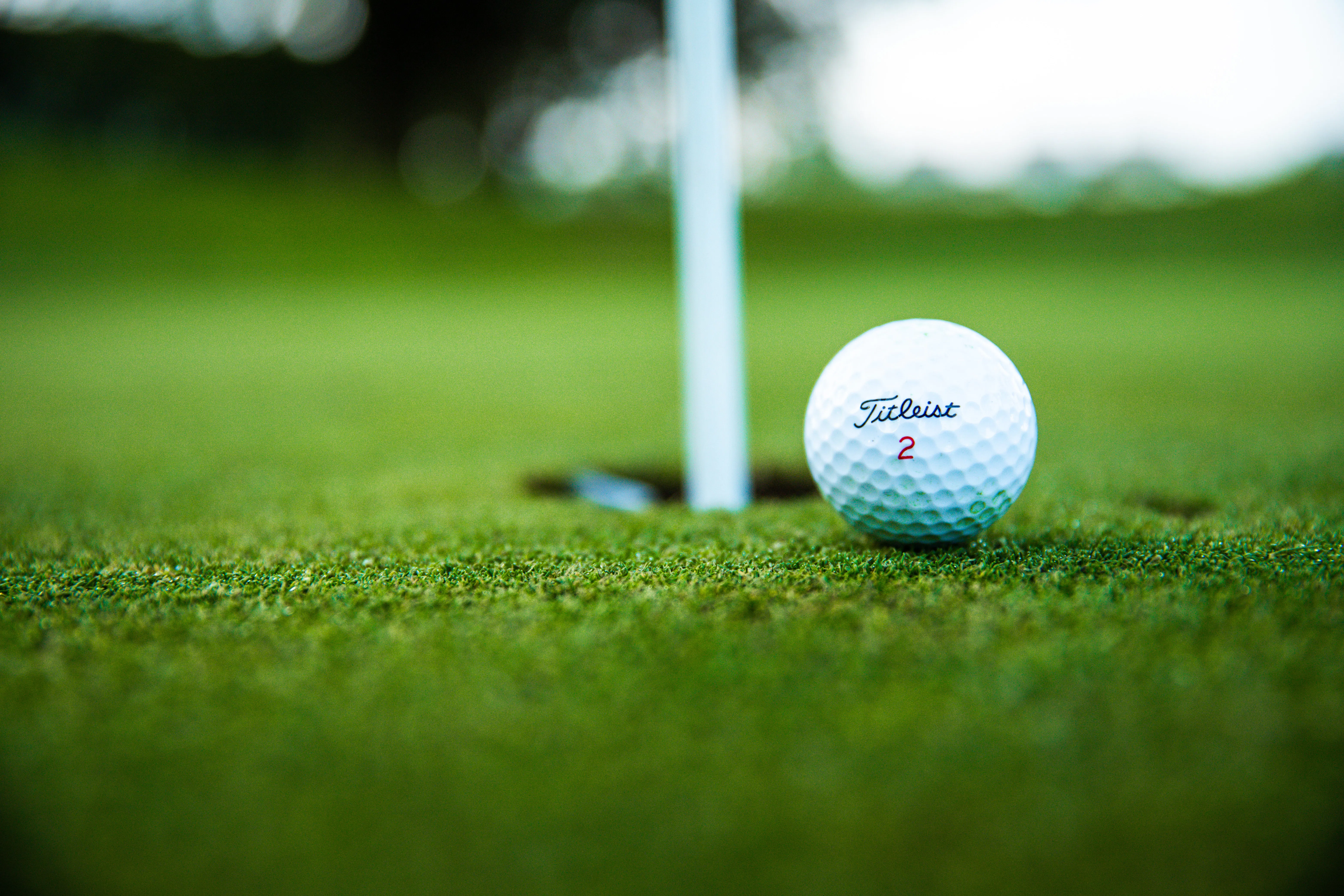 Golf ball on a Florida golf course