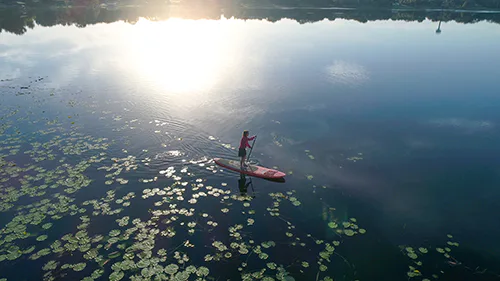 Paddleboarding on the Chain of Lakes - provided by Winter Haven Chamber of Commerce