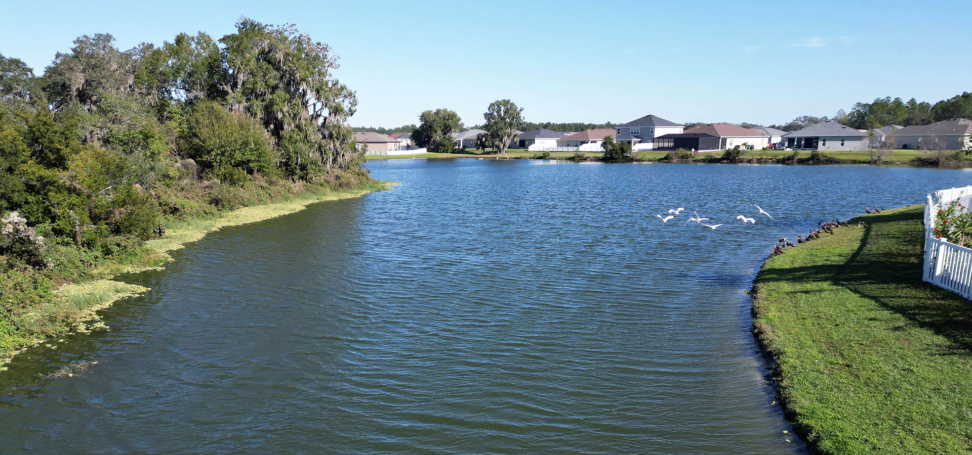 Waterfront homes in Stonebridge at Chapel Creek