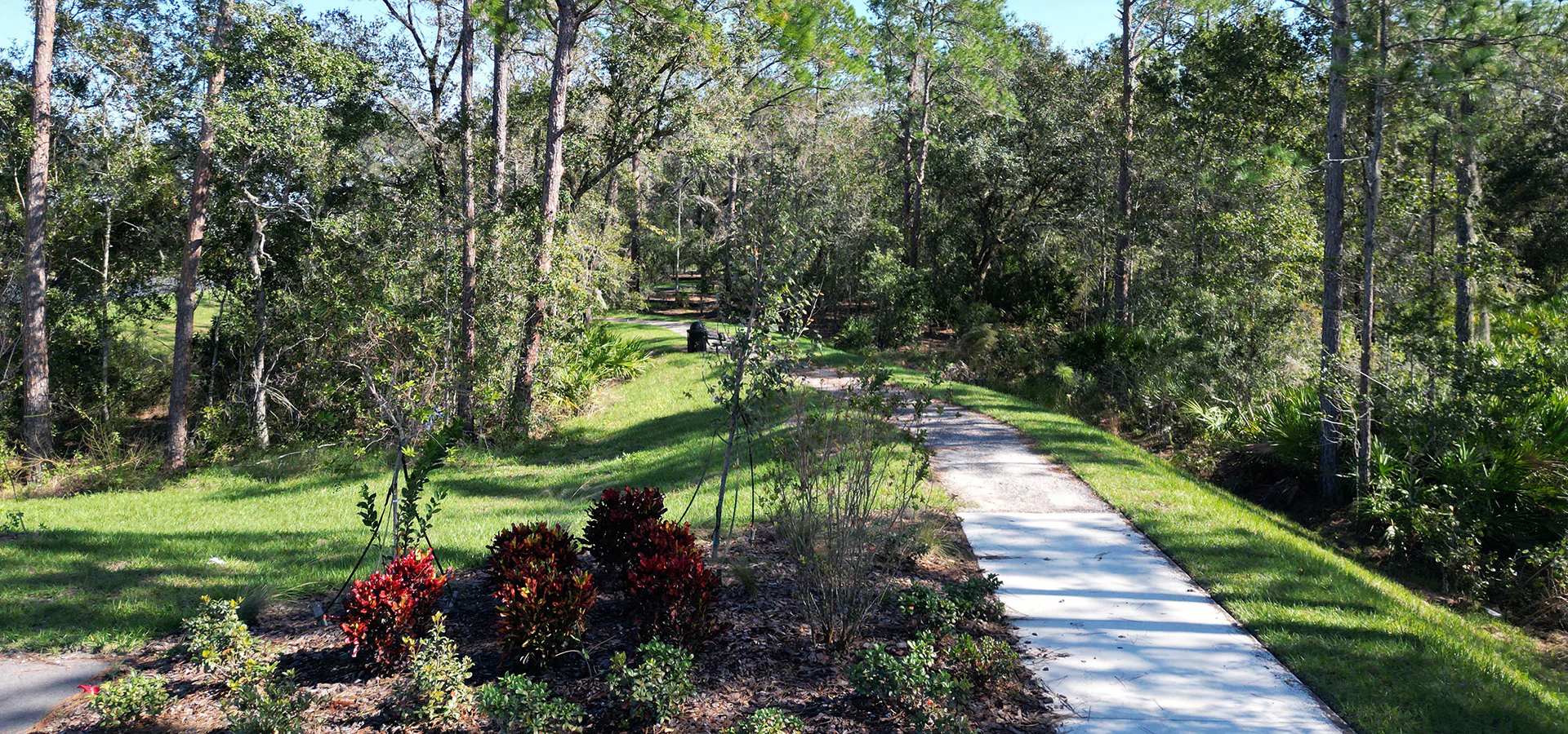Walking paths in Stonebridge at Chapel Creek neighborhood