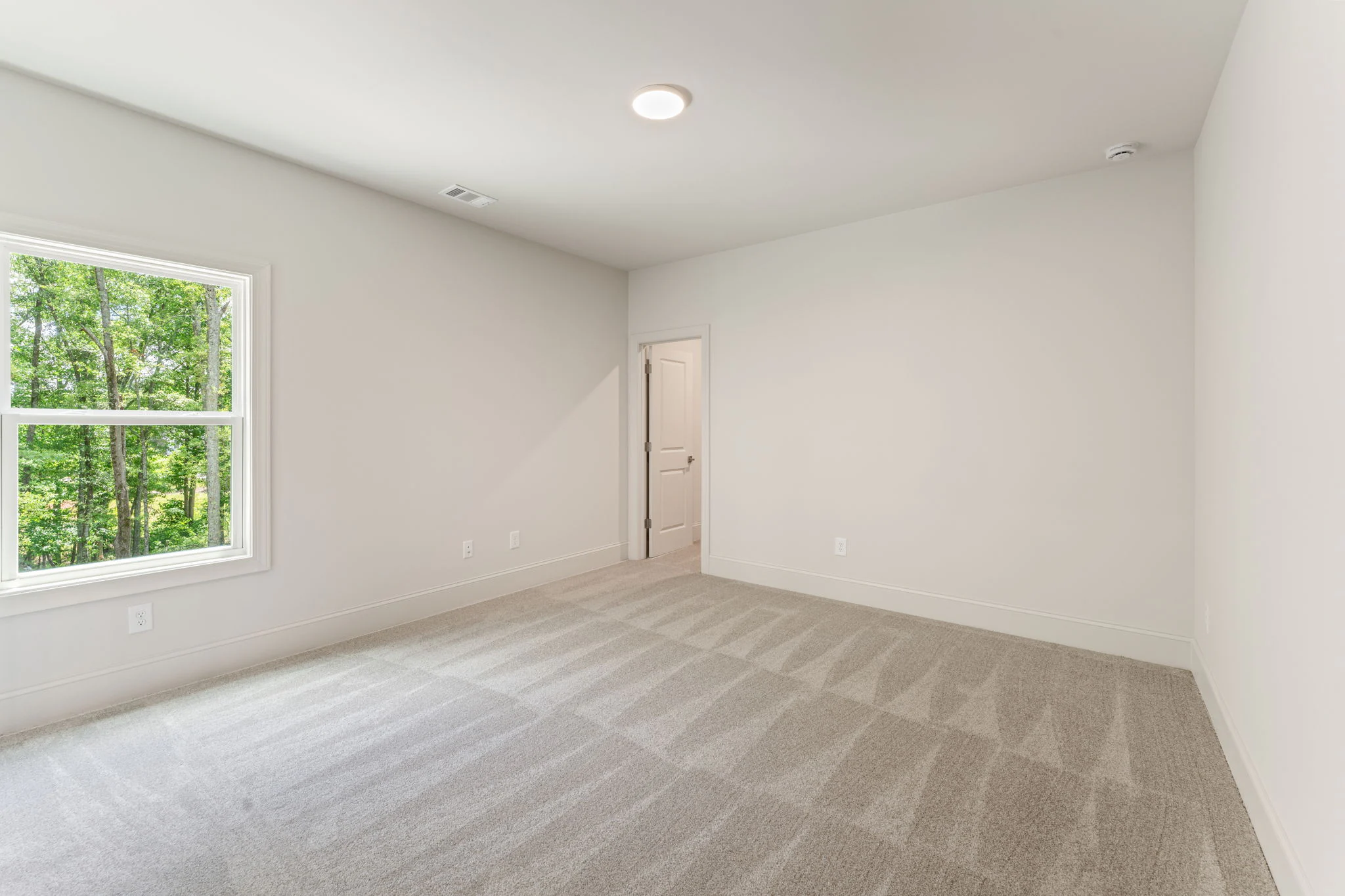 19-web-or-mls-LaRuche - ACarruth - 1005 Liberty Springs Drive - Woodstock-19